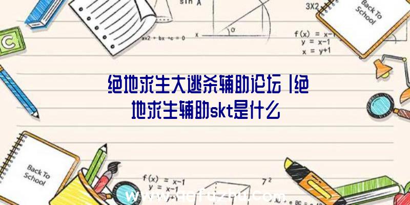 「绝地求生大逃杀辅助论坛」|绝地求生辅助skt是什么